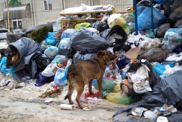 У Львові залишаються неочищеними 105 сміттєвих майданчиків