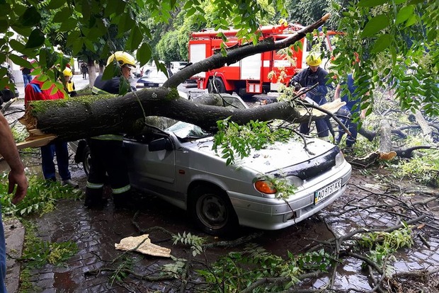 Ураган на Закарпатье: вырваны деревья, подтоплены дома, повреждены крыши