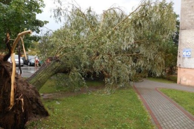 У Польщі пронісся ураган: впали сотні дерев, будинки підтоплені