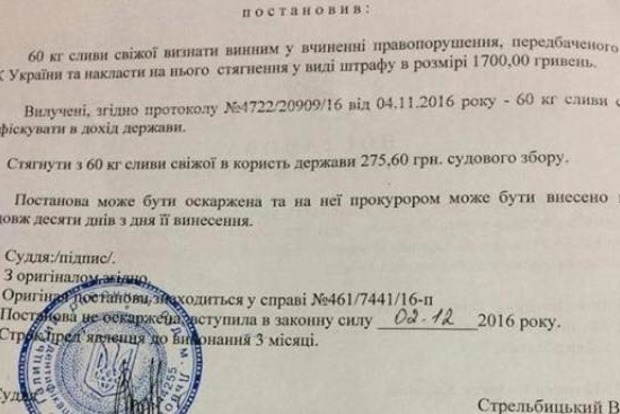 Во Львове судья признал виновным 60 кг сливы и оштрафовал фрукты
