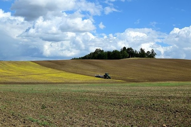 Стоимость украинских сельхозземель оценили в 860 млрд гривен
