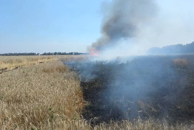 ﻿На Львівщині згоріло 35 гектарів пшениці