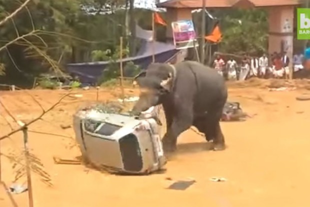 В Индии на празднике вышедший из-под контроля слон перевернул авто