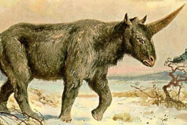 Палеонтологи виявили останки гігантського сибірського єдинорога