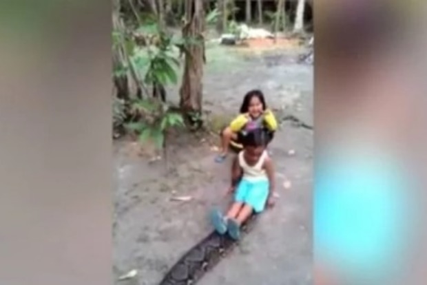 В Индонезии маленькие дети обкатали гигантского питона (видео)