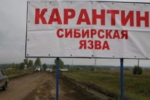 У Росії на Ямалі госпіталізовано 90 осіб із діагнозом «сибірська виразка»
