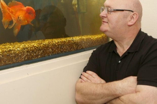 Житель Лондона владеет золотой рыбкой весом более килограмма