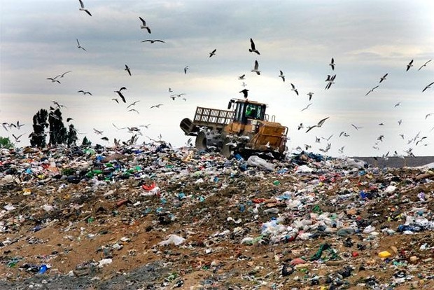 Депутат не исключает мусорного коллапса в Киеве