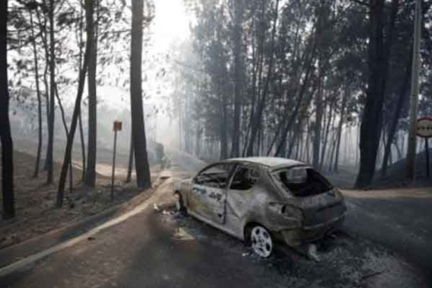 Через сильні лісові пожежі у Португалії вже загинули 57 осіб