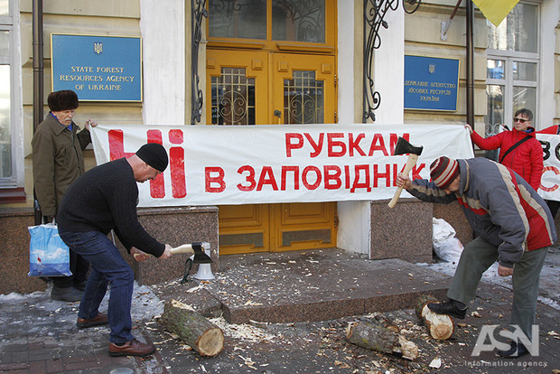 Леса и животные в бывших угодьях Януковича на Сухолучье уничтожаются