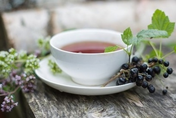 Полезнее ягод: почему нужно пить чай из листьев смородины   