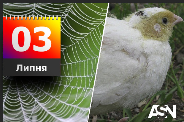 Советы на этот день. И огромный список запретов