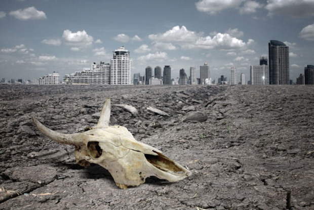 Геофизик рассказал, почему начнут вымирать животные