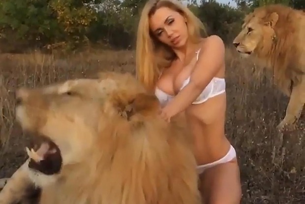 Российскую порноактрису обвинили в насилии над львом (18+)