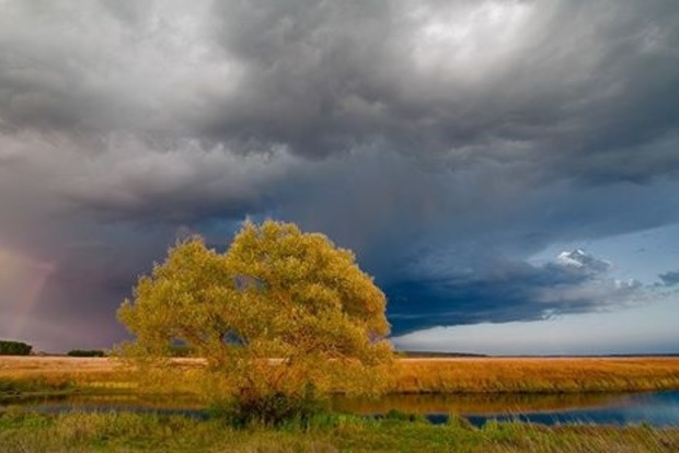 Укргидрометцентр предупредил о сильных дождях на выходных