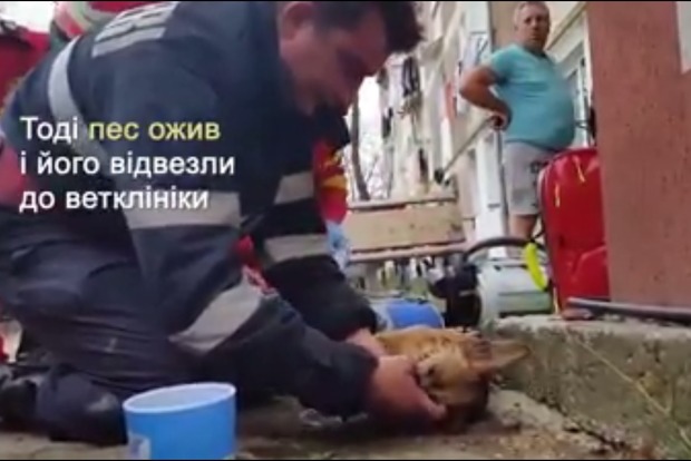 Воскресивший пса румынский пожарный стал звездой интернета