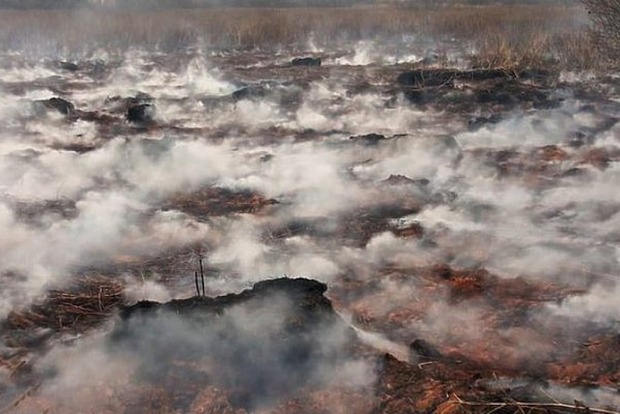 Под Киевом горит полтора гектара торфа