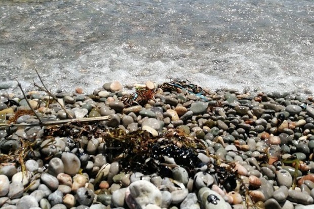 Море в Крыму стало черным. Невозможно отмыться