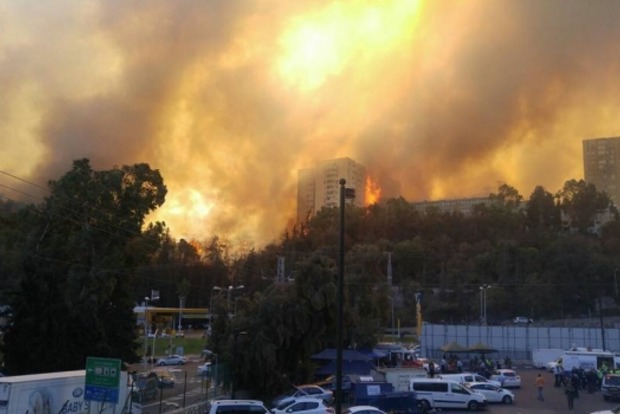 В Израиле из-за лесных пожаров эвакуированы 60 тыс человек