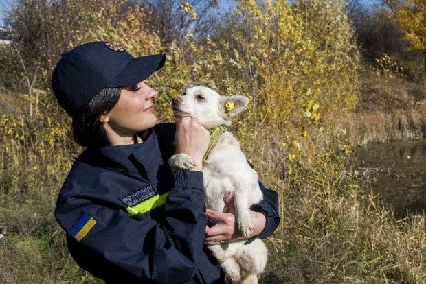 Полтавские спасатели сняли фотосессию с бездомными животными и просят хозяев отозваться