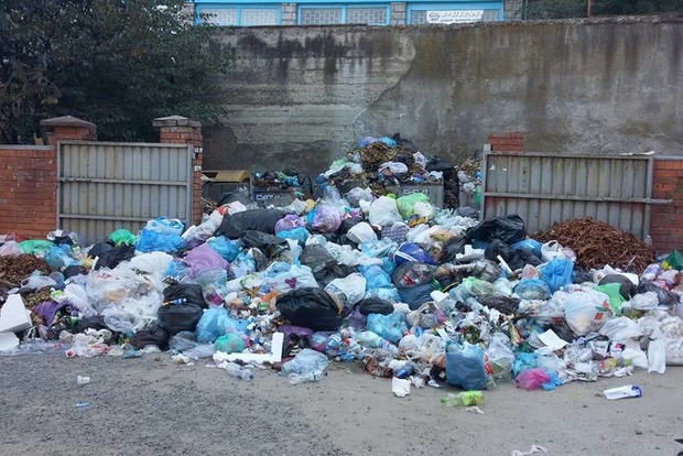 Специалисты предупреждают жителей тонущего в мусоре Львова: берегитесь мух и крыс