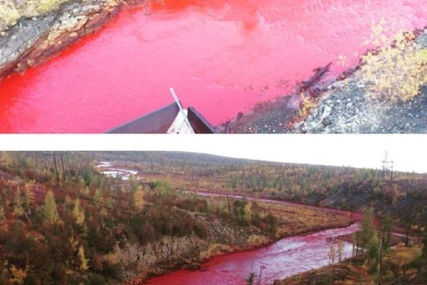На севере Сибири река окрасилась в красный цвет