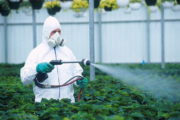 Минагрополитики не ведет перечень опасных пестицидов