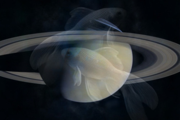 Сатурн у Знаку Риб з березня 2023 року: прогноз на найближчі кілька років для Знаків Зодіаку