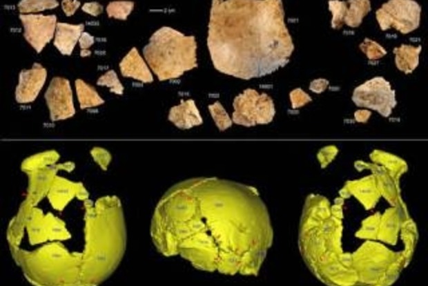 В Китае найдены останки ранее неизвестных науке предков человека