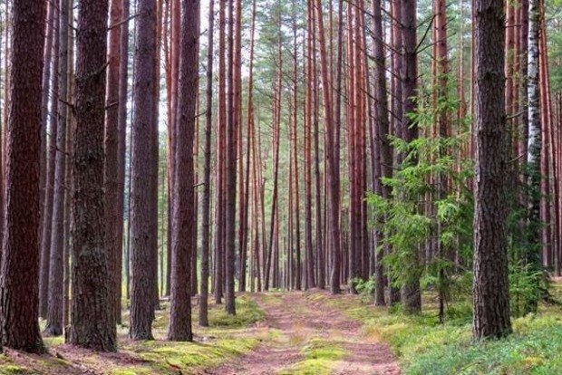 6 вересня: Євтихій Тихий. Що категорично не можна робити. Прикмети та повір'я