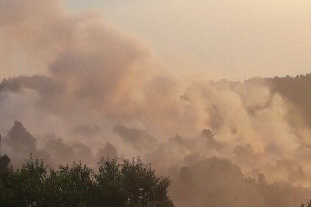 Тушить лесные пожары в Черногории отправили украинский самолет