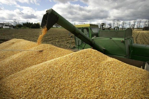Україна встановила новий рекорд з експорту зерна