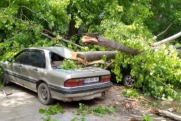 В Одесі ураган повалив дерева, розчавлені 5 авто