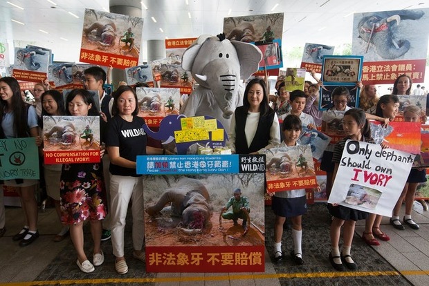 Гонконг слідом за Китаєм заборонить обіг слонової кістки, щоб зупинити криваву війну в Африці