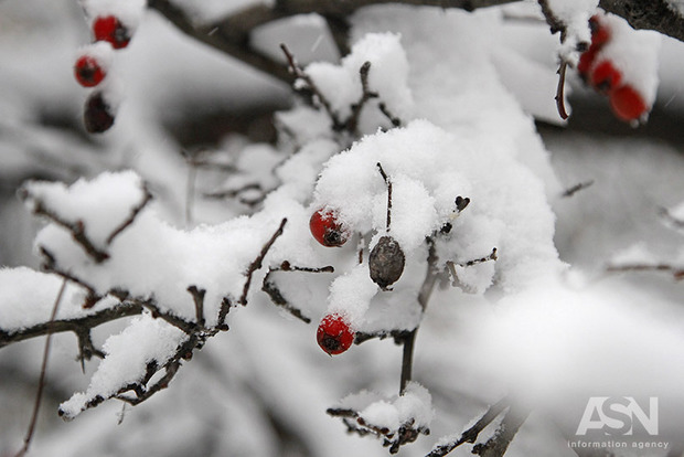 Вторая волна холодов и снегопадов пришла в Украину