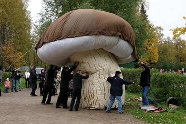 Гриб-гигант найден в Киевской области