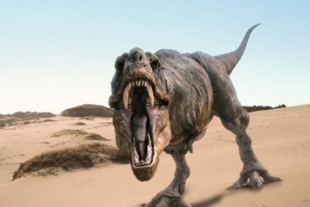 В Австралии найден новый вид огромных динозавров
