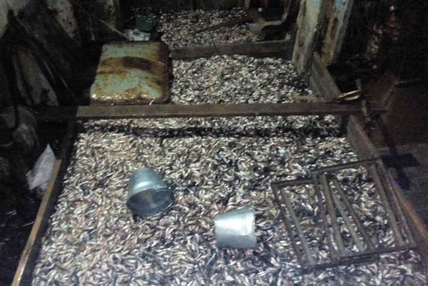 Азовські браконьєри побили рекорд незаконного вилову риби