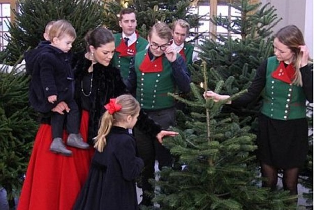 Принцессе Швеции  залепили снежкой во время новогоднего поздравления
