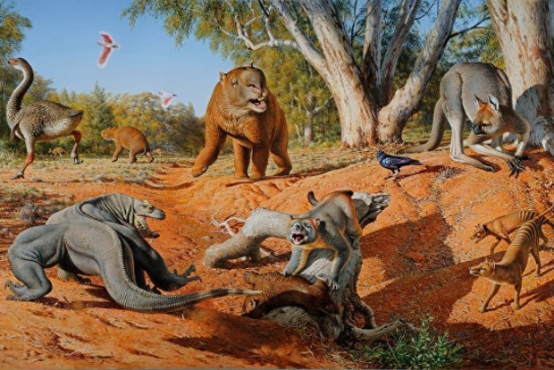 Ученые доказали вину аборигенов в вымирании гигантских животных Австралии