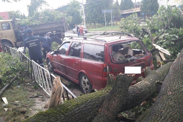 Опубликованы фото страшного урагана во Львове