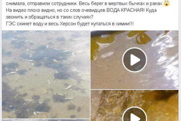 Вода - красная: в водоемах Новой Каховки передохла вся живность