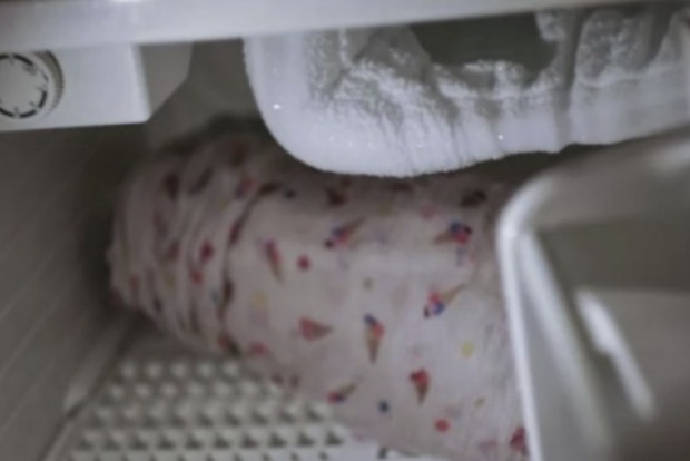 14-летняя девочка родила ребенка и спрятала его в морозилке