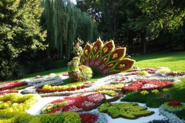 У Києві створили рекордну композицію з живих хризантем