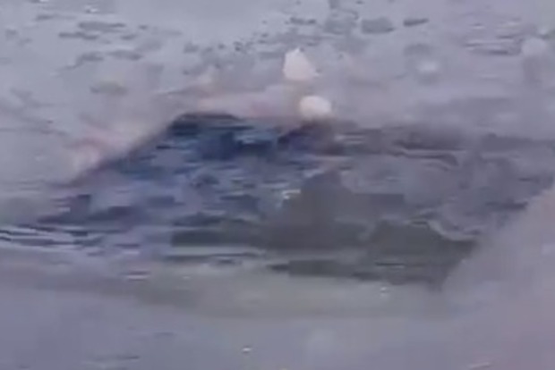 Опубликовали видео утонувшего как крещенская утопленница днепровца