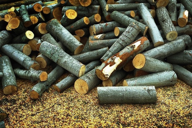 ﻿Окупанти закликали жителів Криму заздалегідь запастися дровами