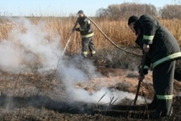 ﻿Чергове задимлення в Києві виникло через пожежу на п'яти гектарах Дніпровського лісництва