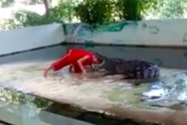У Таїланді крокодил ледь не відкусив голову дресирувальнику