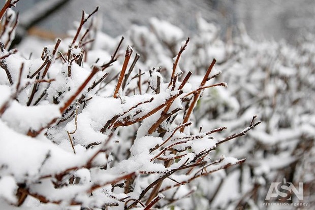 Суперважливе дослідження: їсти сніг можна, тільки якщо він свіжий