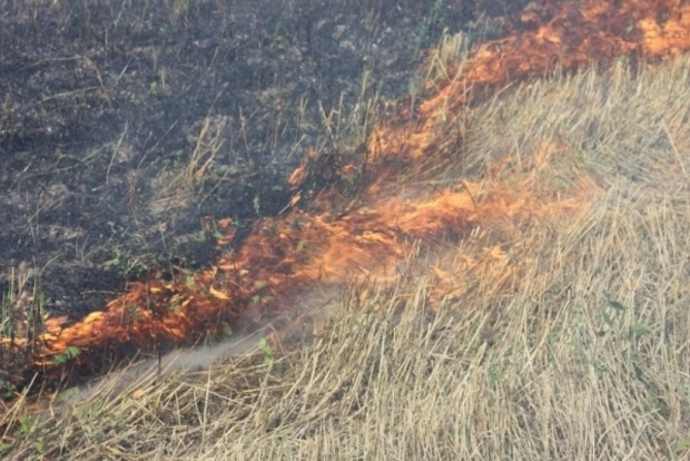 Под Киевом горят торфяники